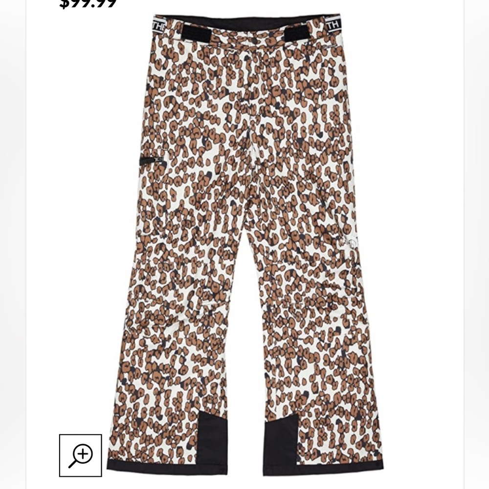 The north face snow pants